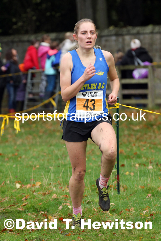 Senior womens 2021 NEHL Lambton Castle near Chester le Street, County Durham. Photo: David T. Hewitson/Sports for All Pics